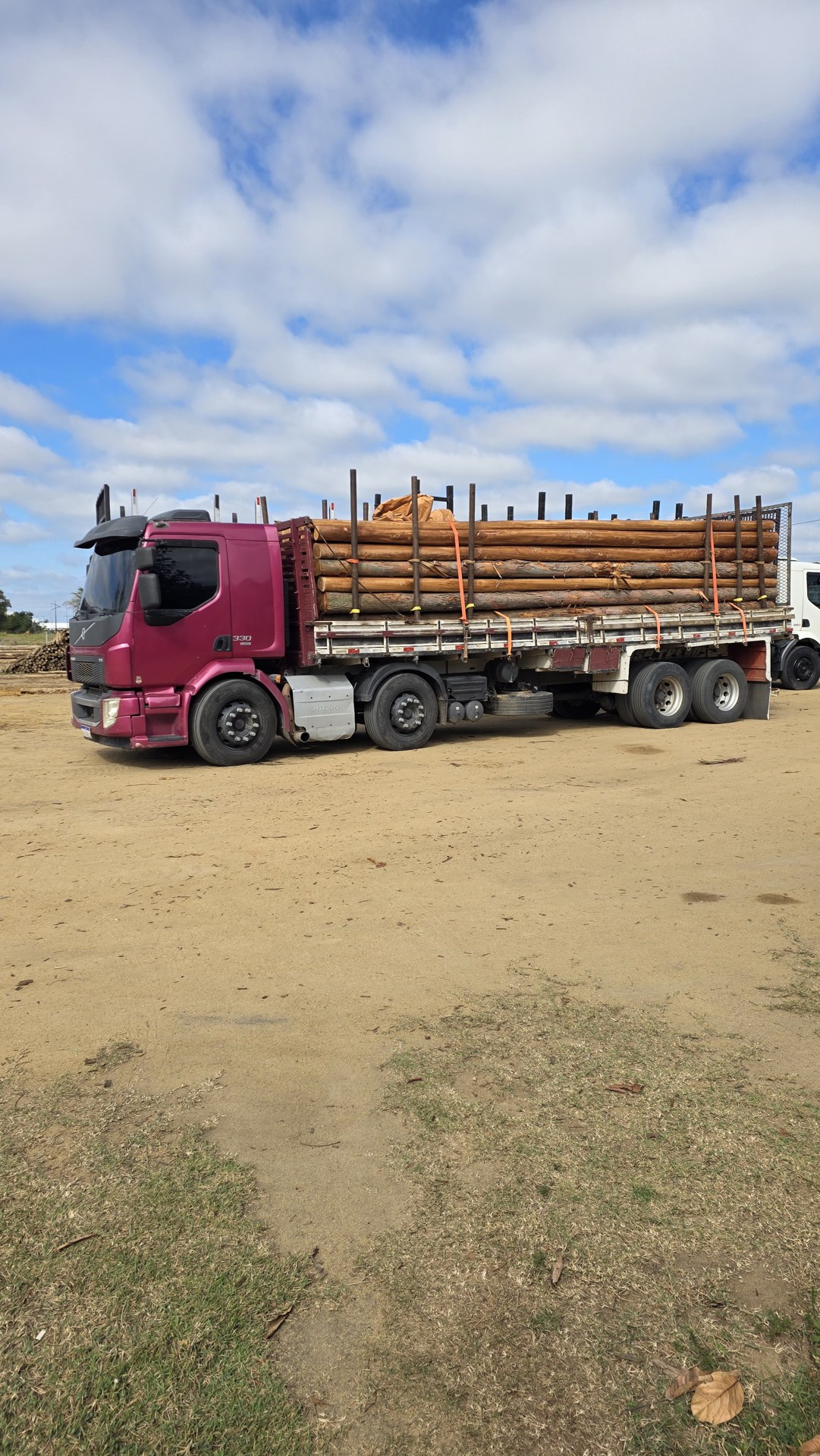 Caminhão vinho com toras de madeira presas para transporte